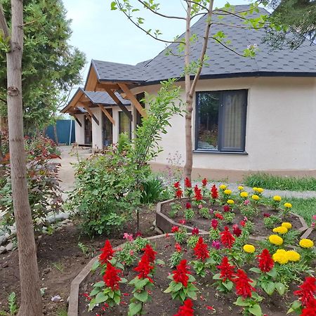 Happy Nomads Yurts & Hostel Каракол Екстер'єр фото