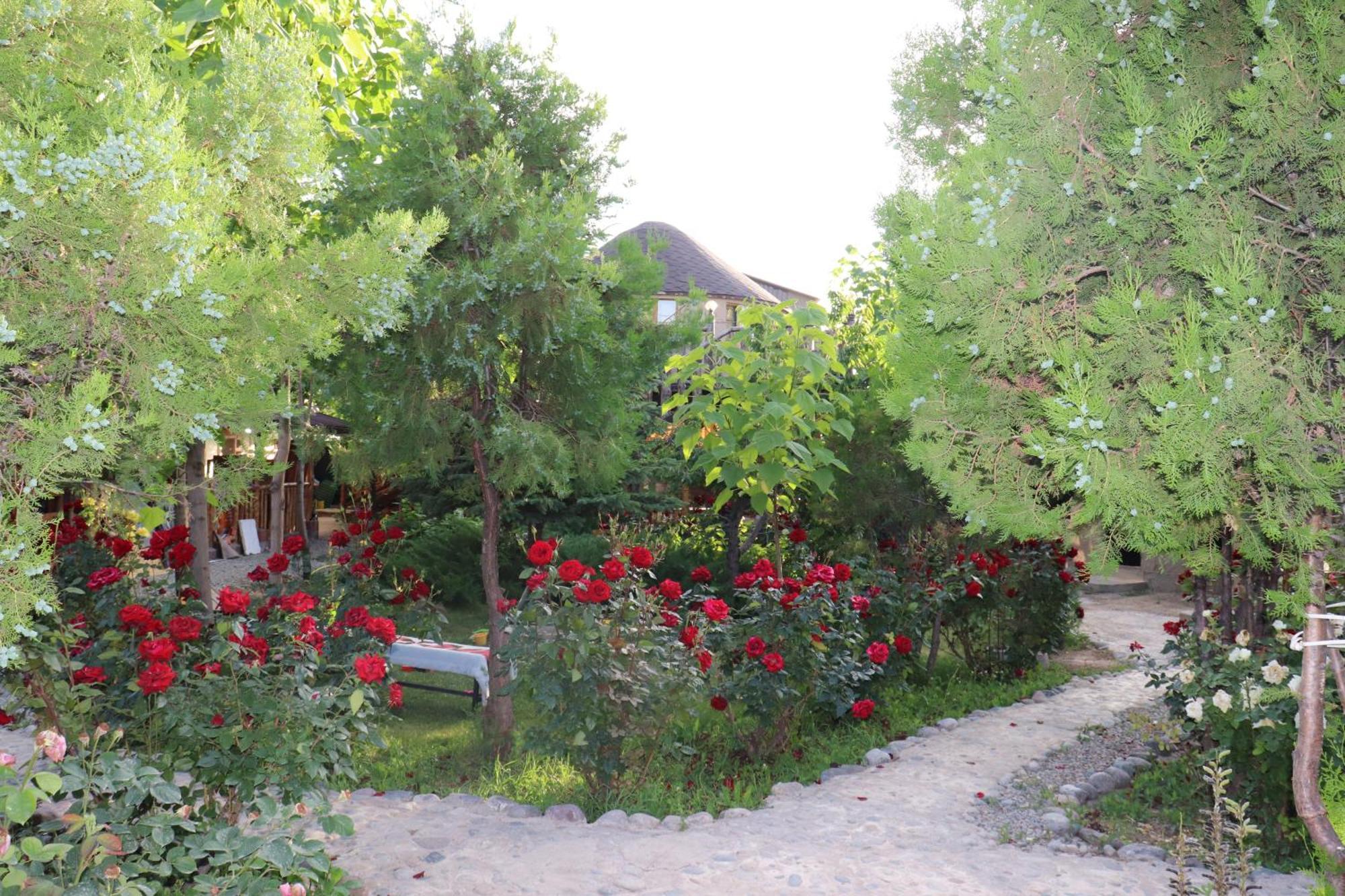 Happy Nomads Yurts & Hostel Каракол Екстер'єр фото