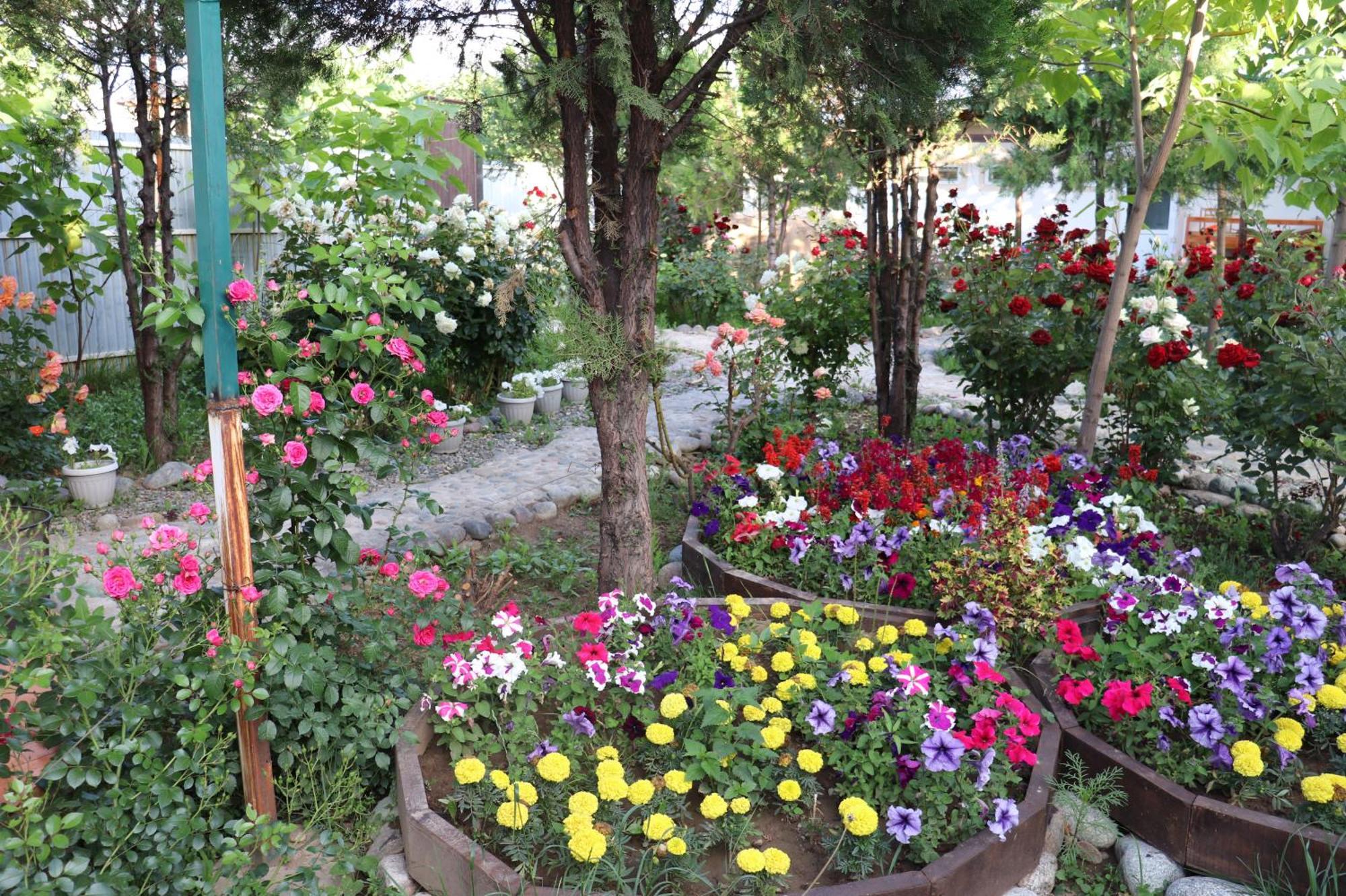 Happy Nomads Yurts & Hostel Каракол Екстер'єр фото
