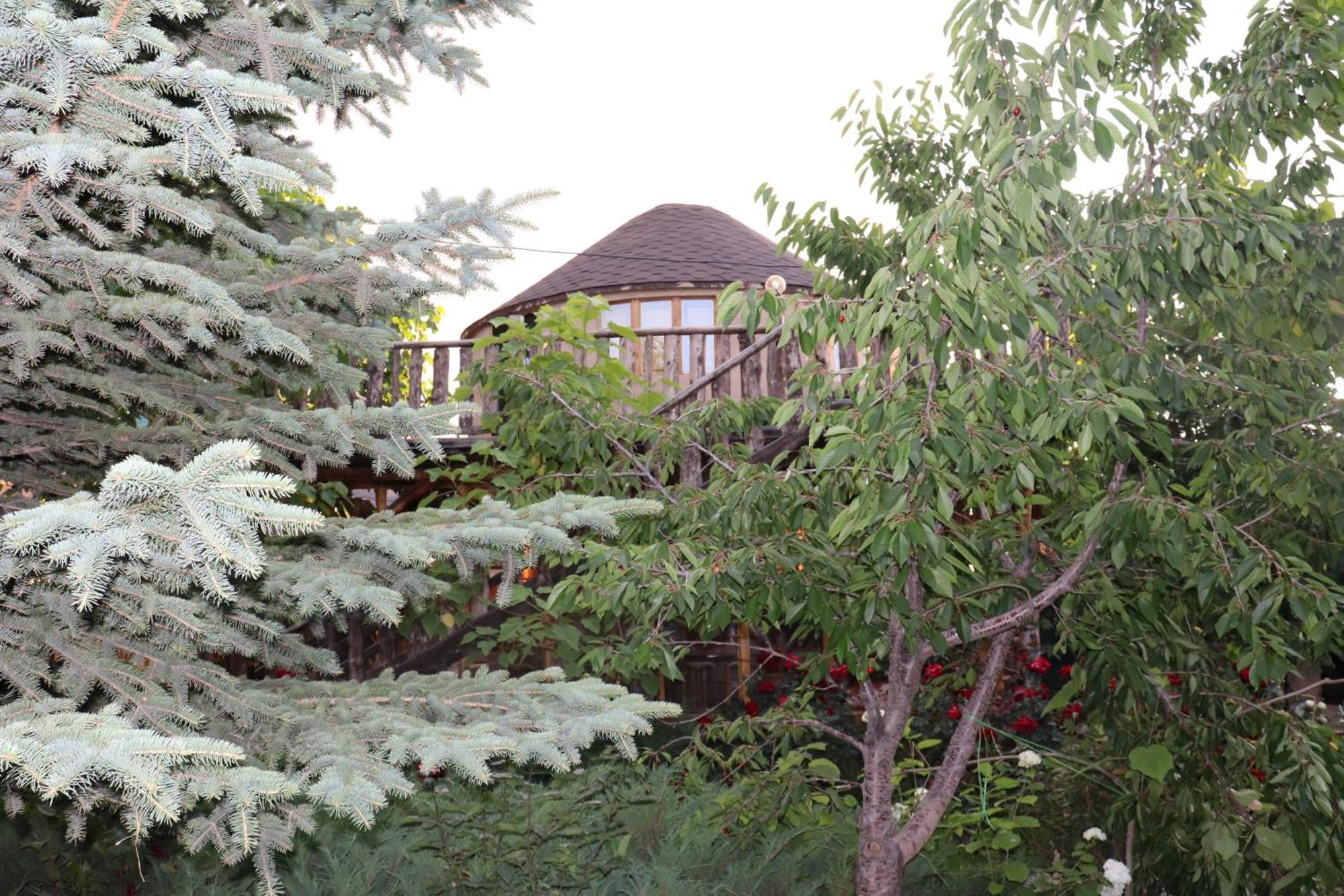 Happy Nomads Yurts & Hostel Каракол Екстер'єр фото