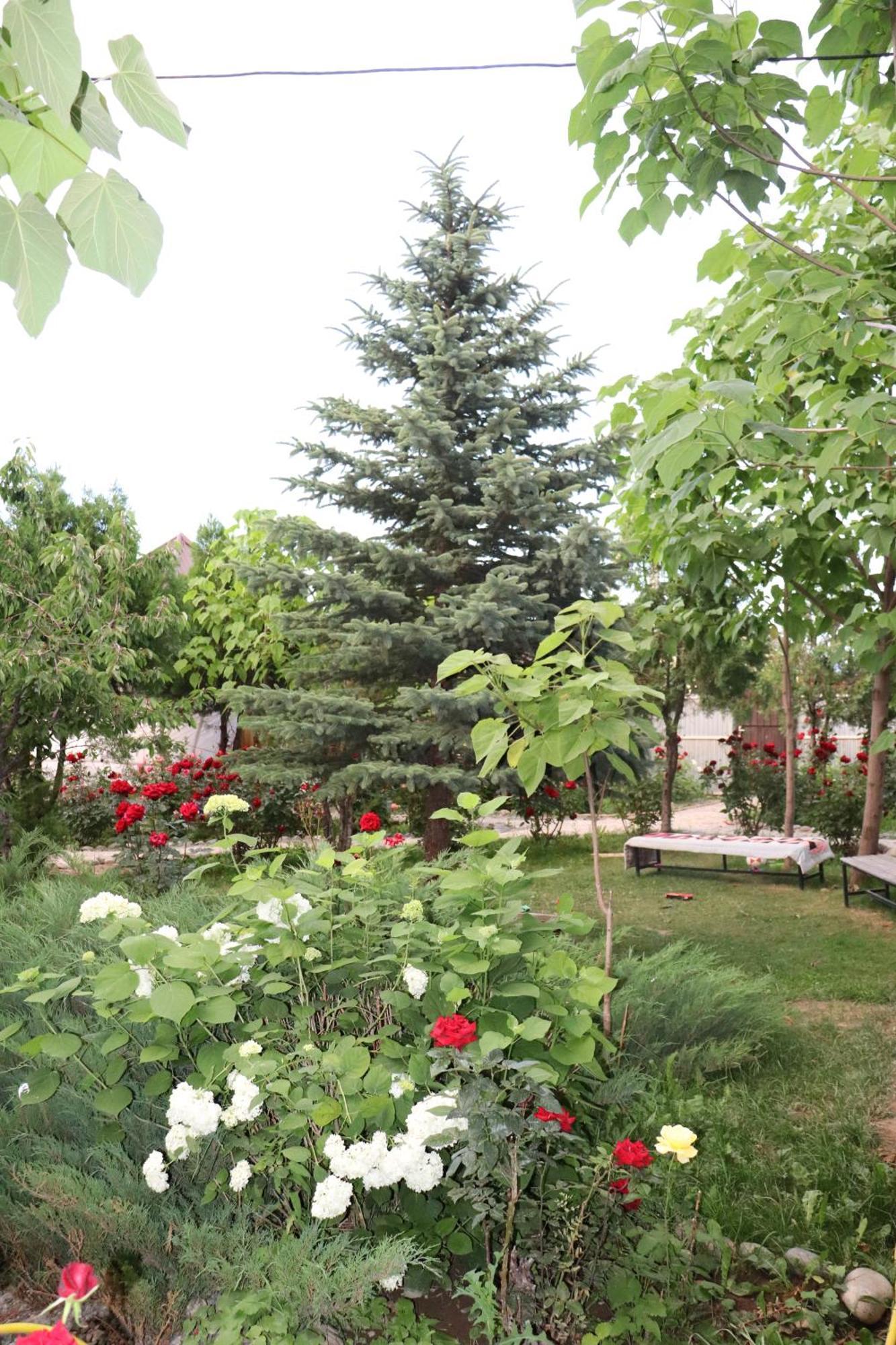 Happy Nomads Yurts & Hostel Каракол Екстер'єр фото