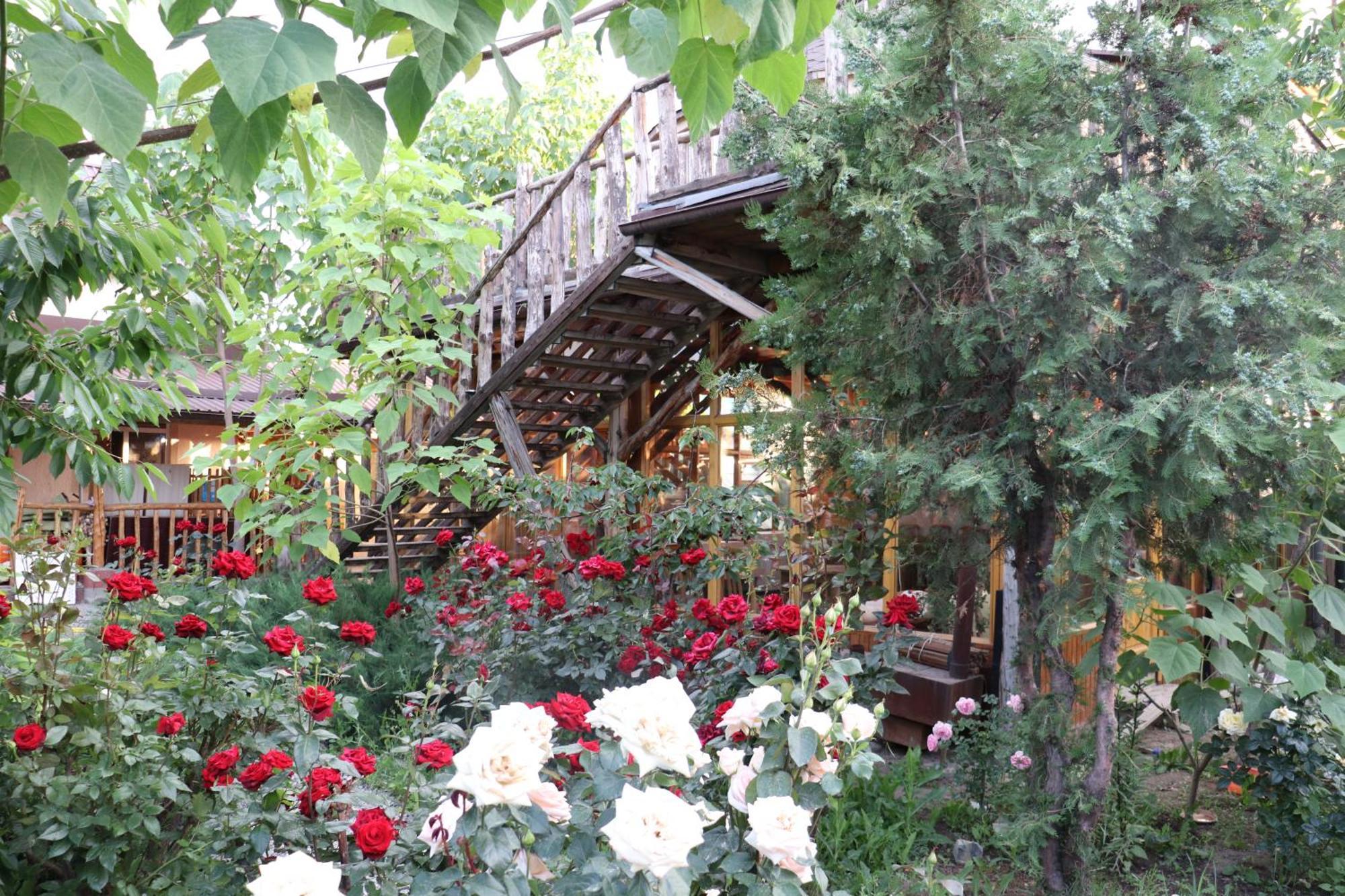 Happy Nomads Yurts & Hostel Каракол Екстер'єр фото