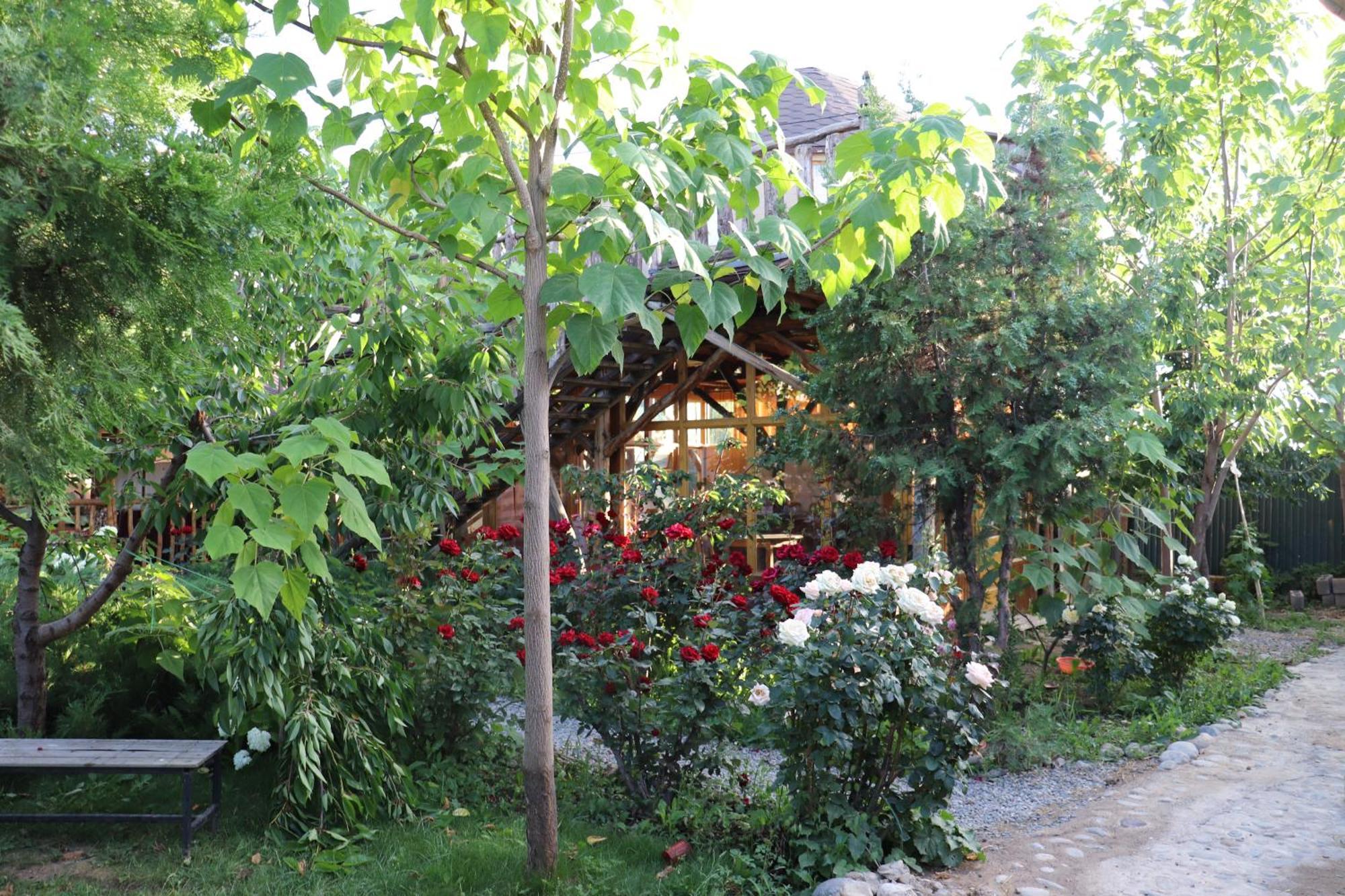 Happy Nomads Yurts & Hostel Каракол Екстер'єр фото