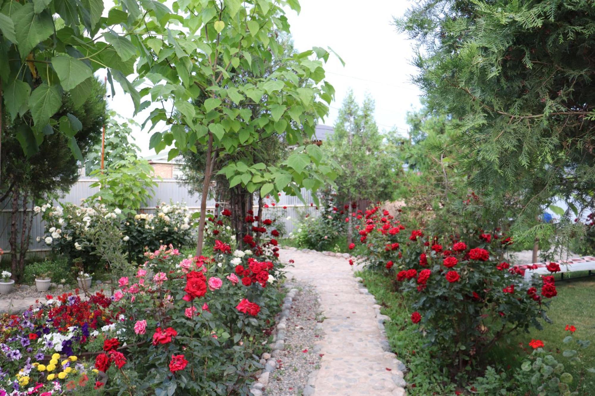 Happy Nomads Yurts & Hostel Каракол Екстер'єр фото