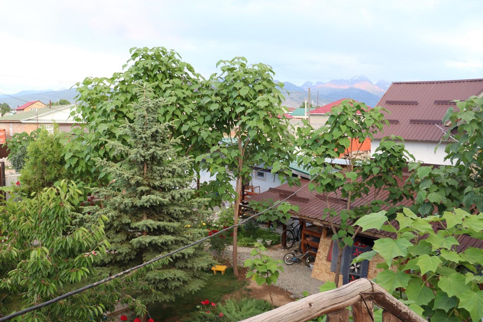 Happy Nomads Yurts & Hostel Каракол Екстер'єр фото