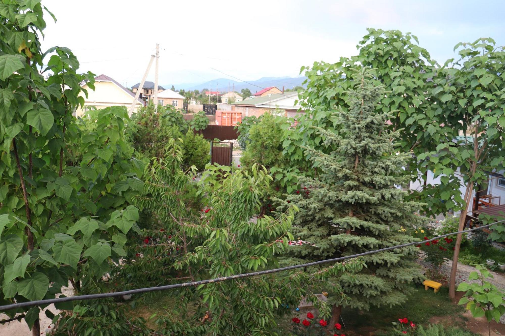 Happy Nomads Yurts & Hostel Каракол Екстер'єр фото