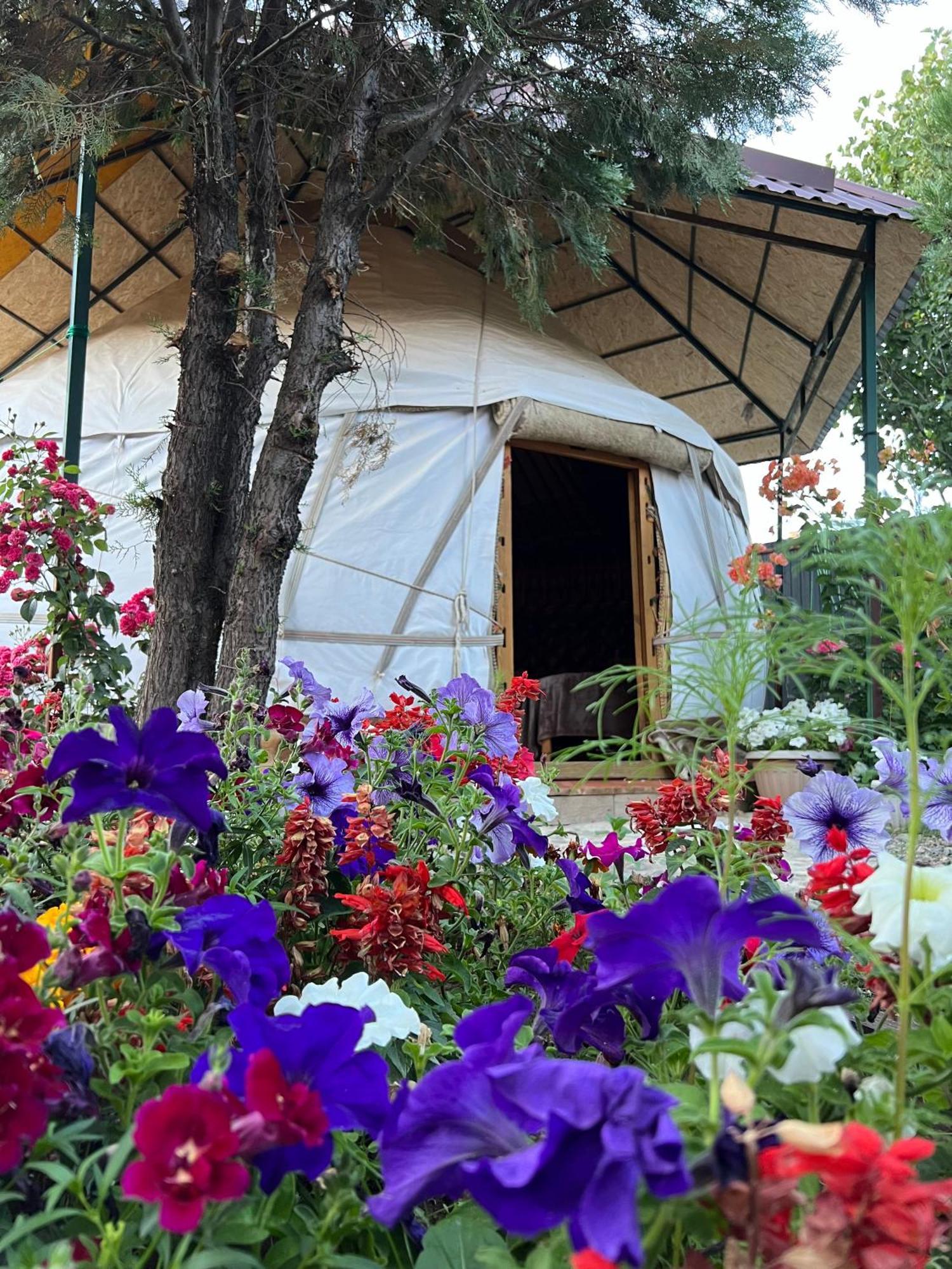 Happy Nomads Yurts & Hostel Каракол Екстер'єр фото