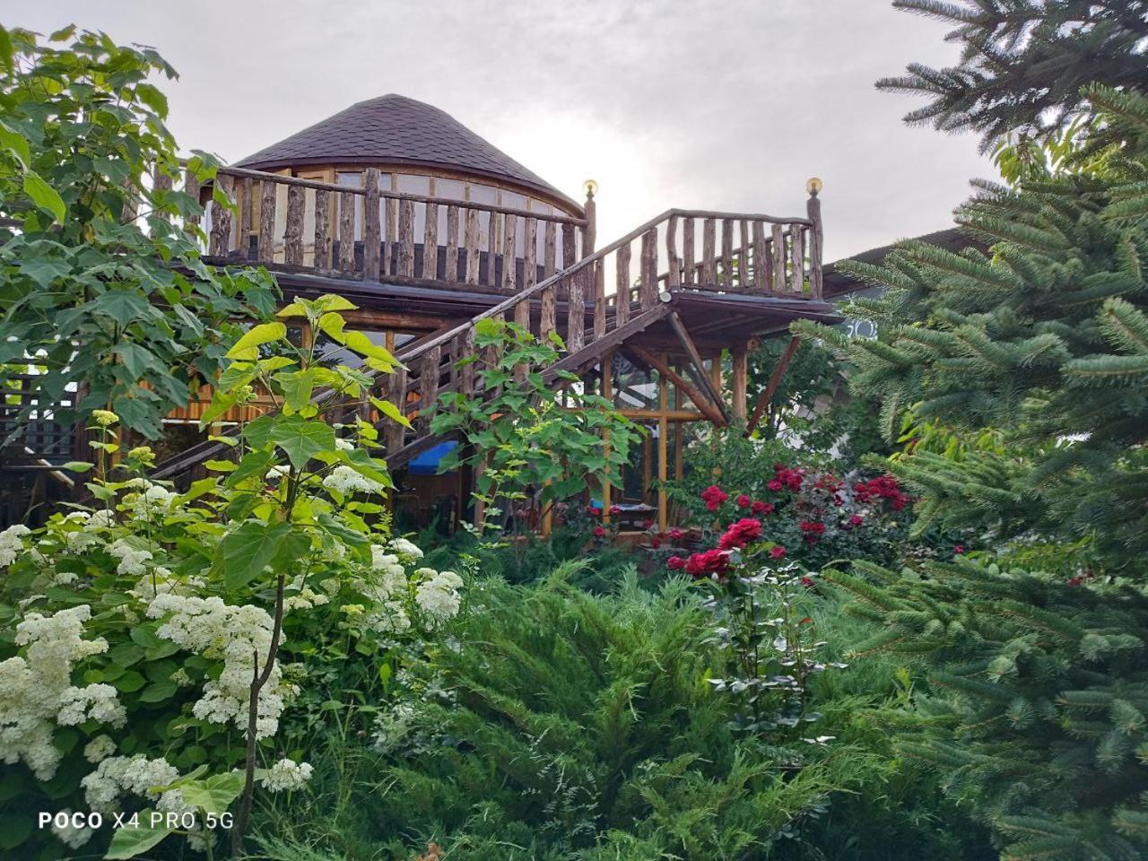 Happy Nomads Yurts & Hostel Каракол Екстер'єр фото