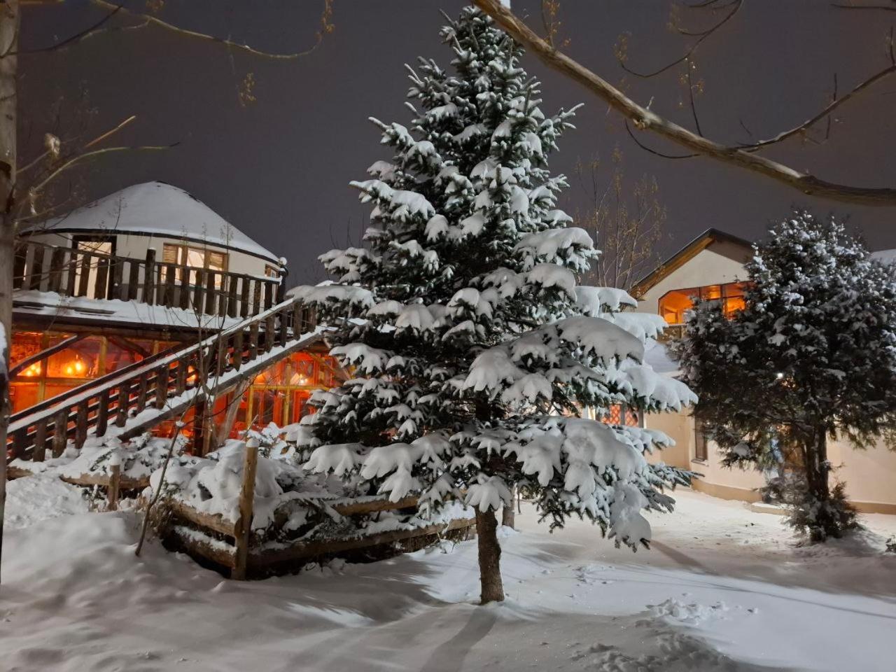 Happy Nomads Yurts & Hostel Каракол Екстер'єр фото