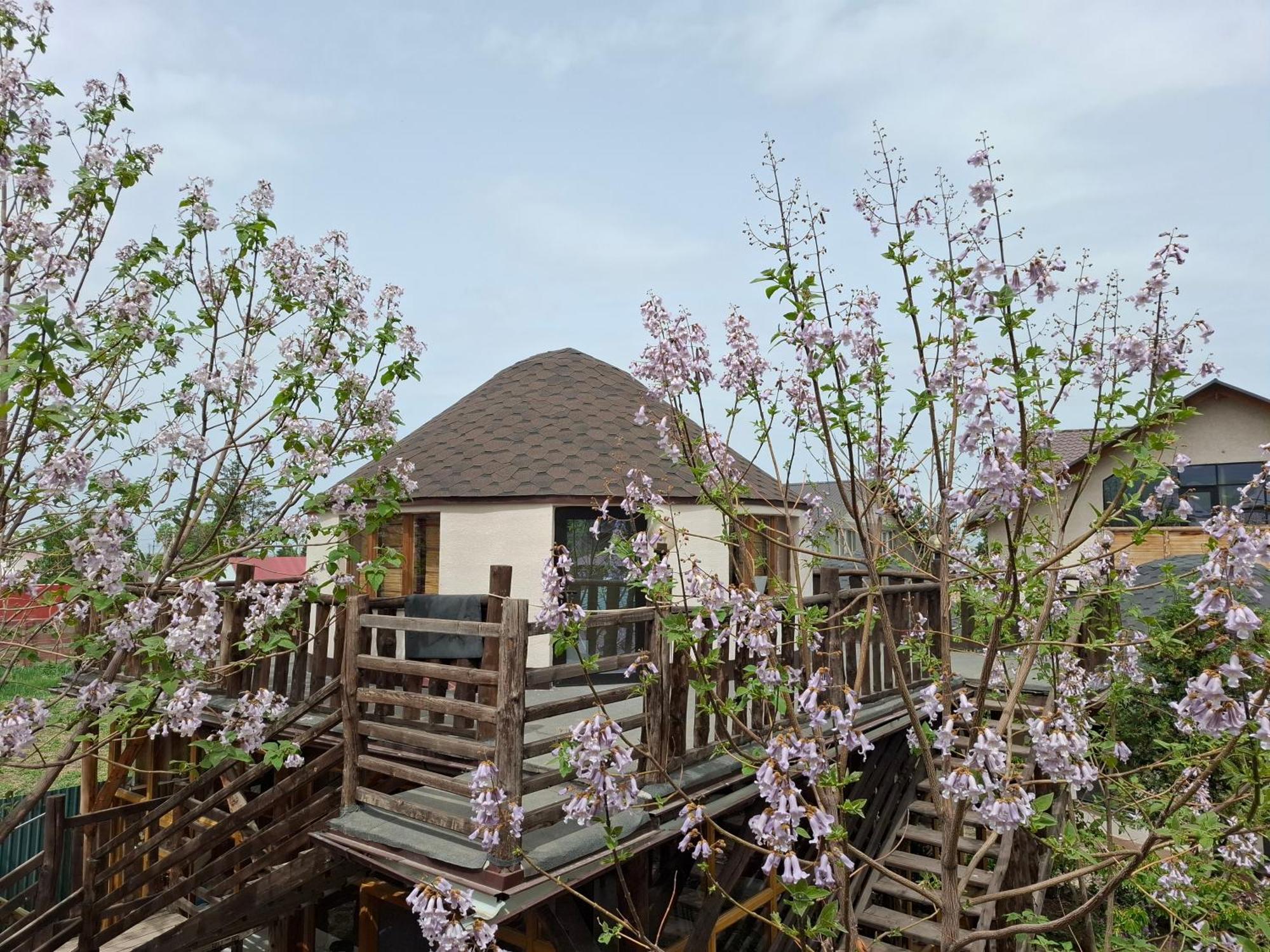 Happy Nomads Yurts & Hostel Каракол Екстер'єр фото