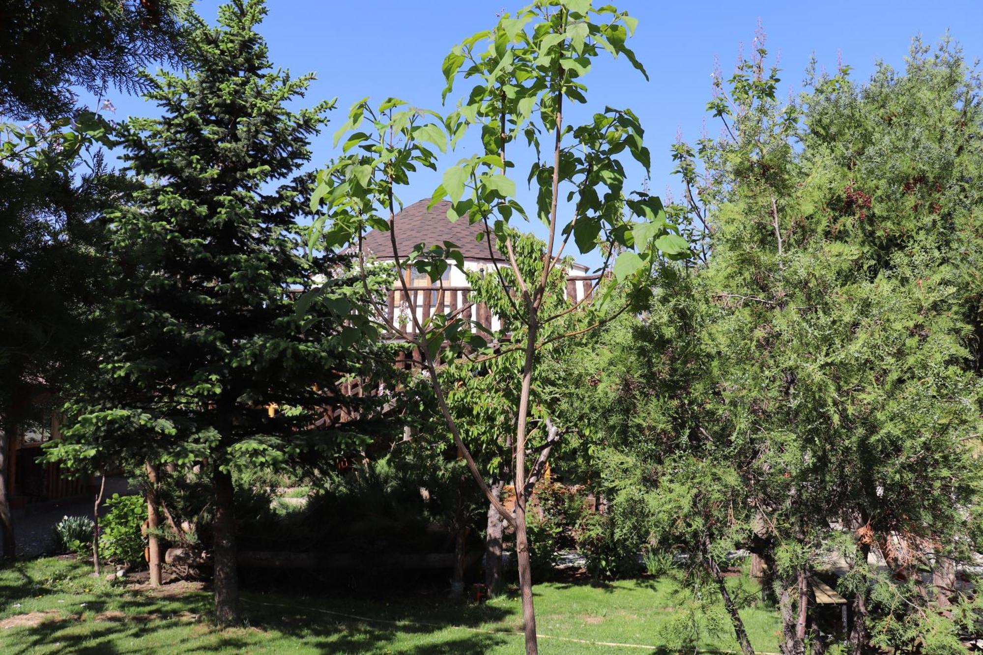Happy Nomads Yurts & Hostel Каракол Екстер'єр фото