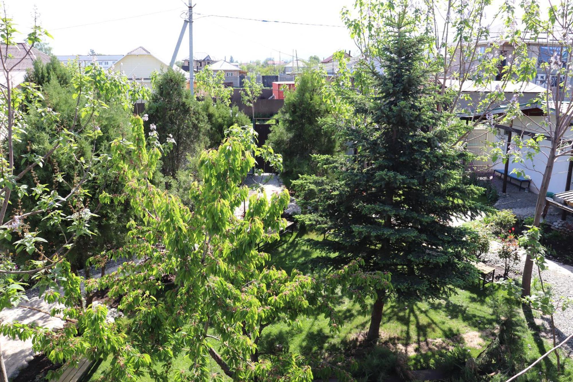 Happy Nomads Yurts & Hostel Каракол Екстер'єр фото
